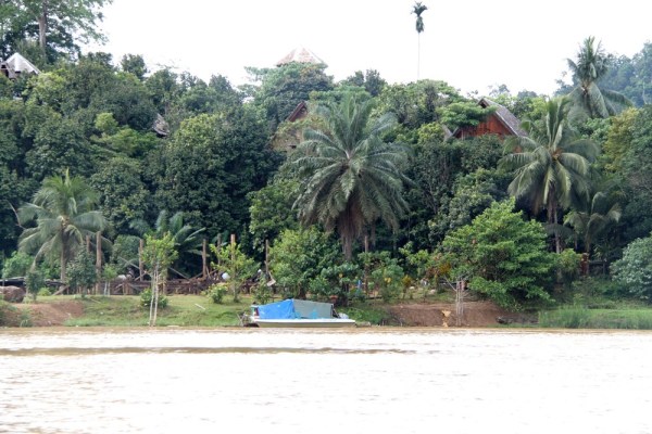 IMG_0810.jpeg.scaled.1000