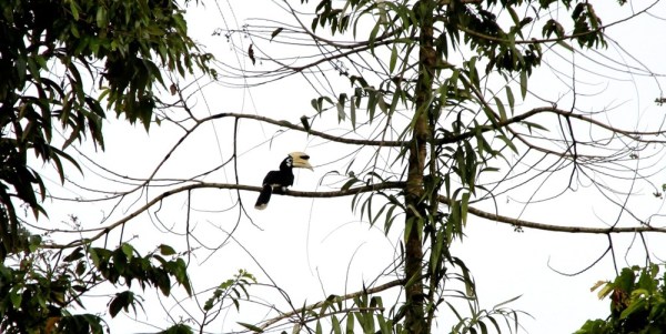 IMG_0813.jpeg.scaled.1000