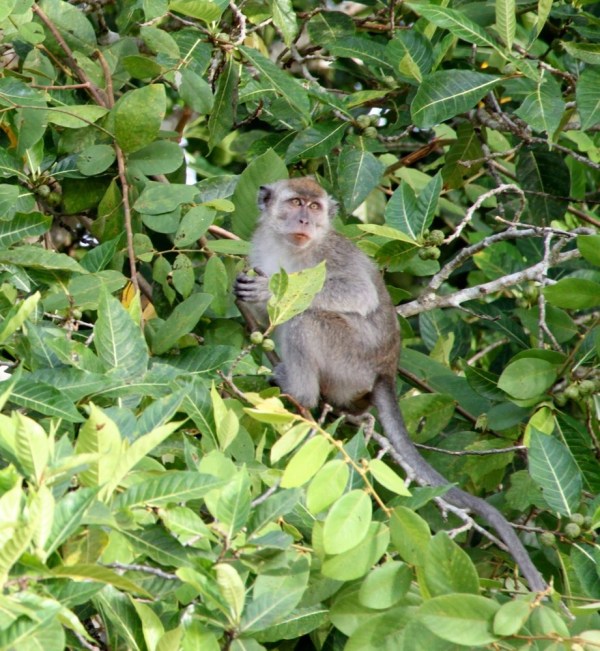 IMG_0885.jpeg.scaled.1000