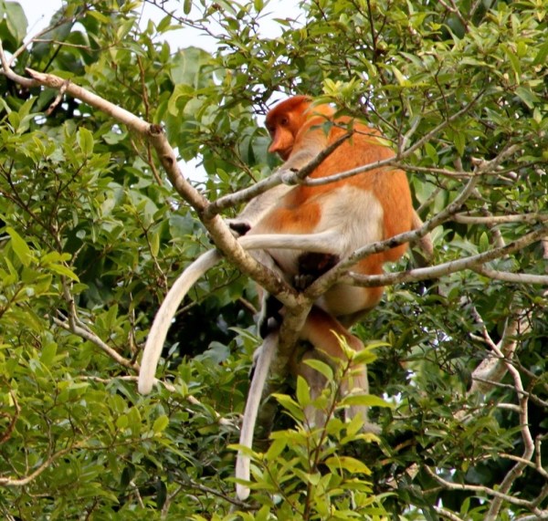 IMG_1008.jpeg.scaled.1000