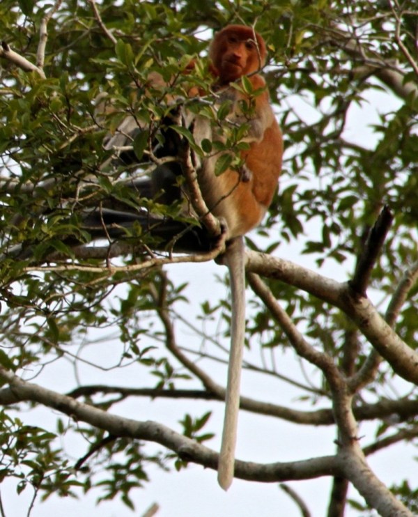 IMG_1026.jpeg.scaled.1000